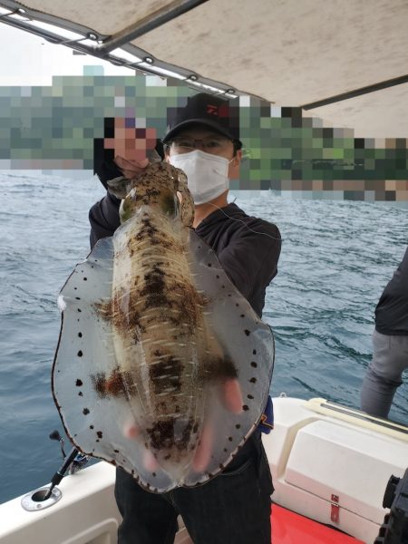 ソルトウォーターガイドフレンズ 釣果