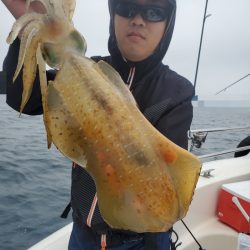 ソルトウォーターガイドフレンズ 釣果