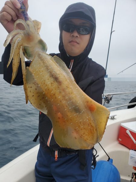 ソルトウォーターガイドフレンズ 釣果