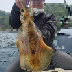 ソルトウォーターガイドフレンズ 釣果