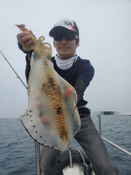 ソルトウォーターガイドフレンズ 釣果