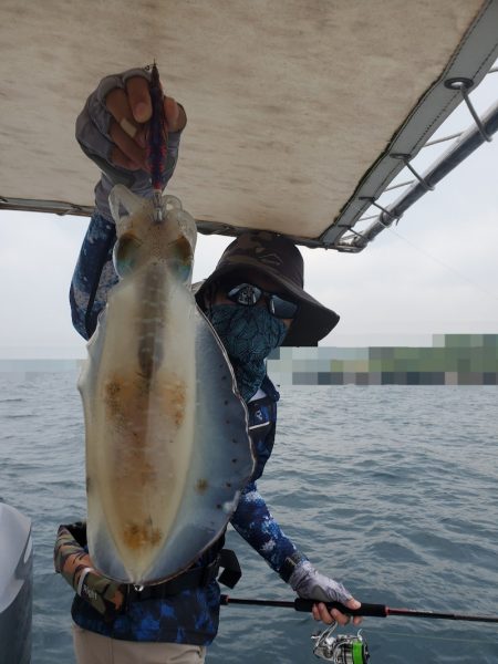 ソルトウォーターガイドフレンズ 釣果