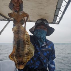 ソルトウォーターガイドフレンズ 釣果