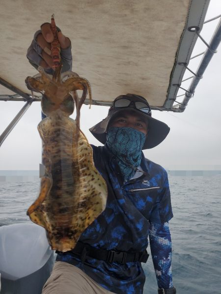 ソルトウォーターガイドフレンズ 釣果