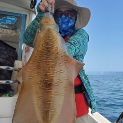 ソルトウォーターガイドフレンズ 釣果