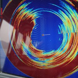 ブルースフィッシングサービス 釣果