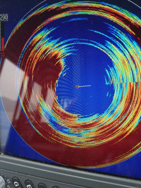 ブルースフィッシングサービス 釣果