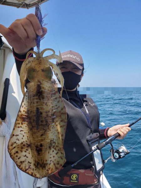 ソルトウォーターガイドフレンズ 釣果