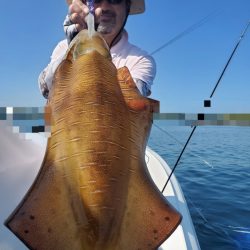 ソルトウォーターガイドフレンズ 釣果