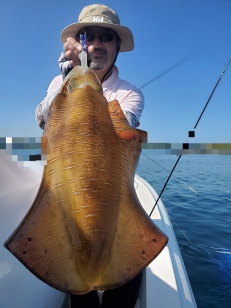 ソルトウォーターガイドフレンズ 釣果