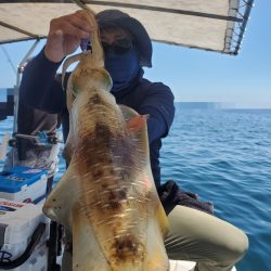 ソルトウォーターガイドフレンズ 釣果