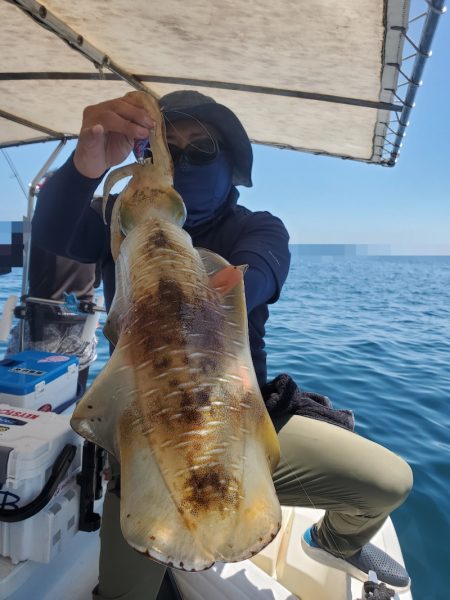 ソルトウォーターガイドフレンズ 釣果