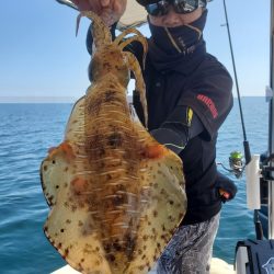 ソルトウォーターガイドフレンズ 釣果