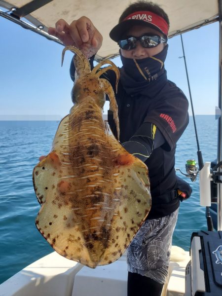 ソルトウォーターガイドフレンズ 釣果