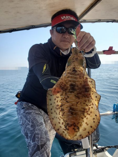 ソルトウォーターガイドフレンズ 釣果