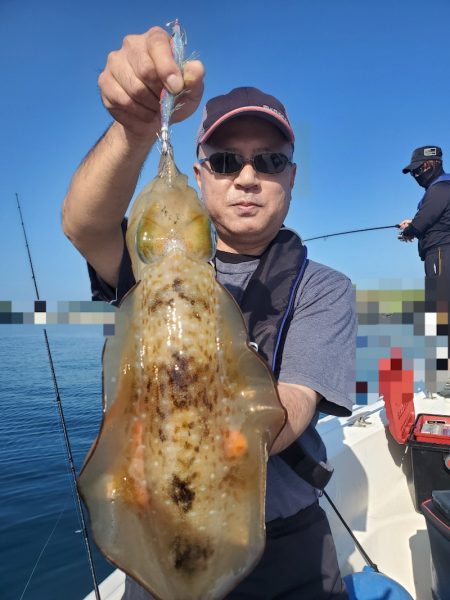 ソルトウォーターガイドフレンズ 釣果