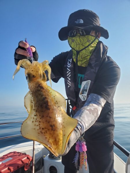 ソルトウォーターガイドフレンズ 釣果