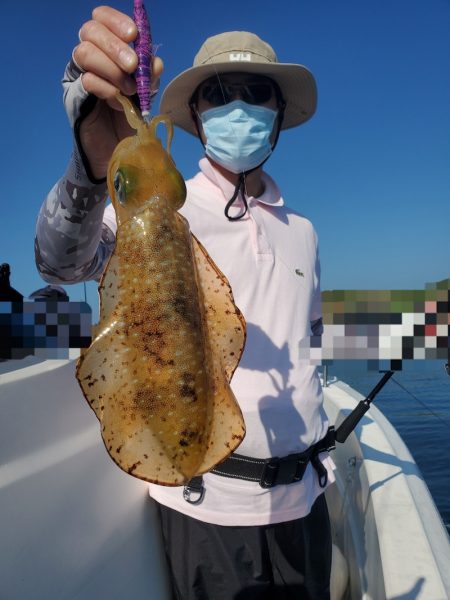 ソルトウォーターガイドフレンズ 釣果