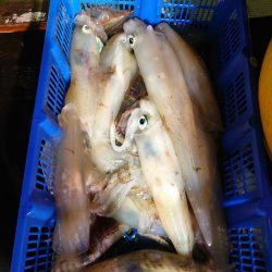 海龍丸（石川） 釣果