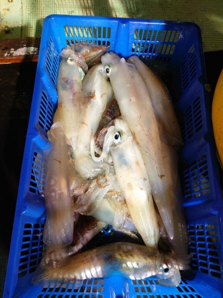 海龍丸（石川） 釣果