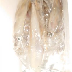 海龍丸（石川） 釣果