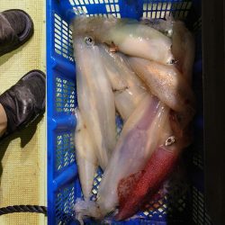 海龍丸（石川） 釣果