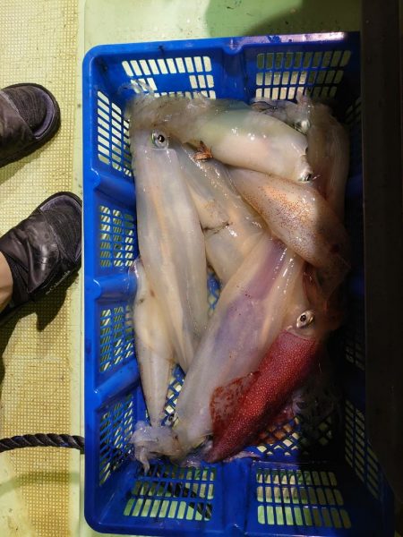 海龍丸（石川） 釣果