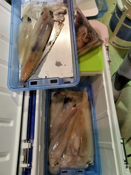 海龍丸（石川） 釣果