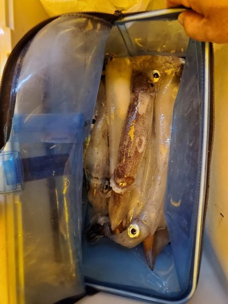 海龍丸（石川） 釣果