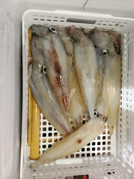 海龍丸（石川） 釣果