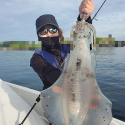 ソルトウォーターガイドフレンズ 釣果