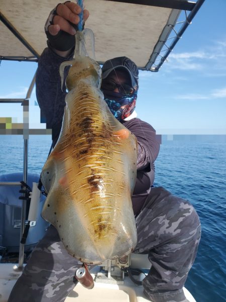 ソルトウォーターガイドフレンズ 釣果