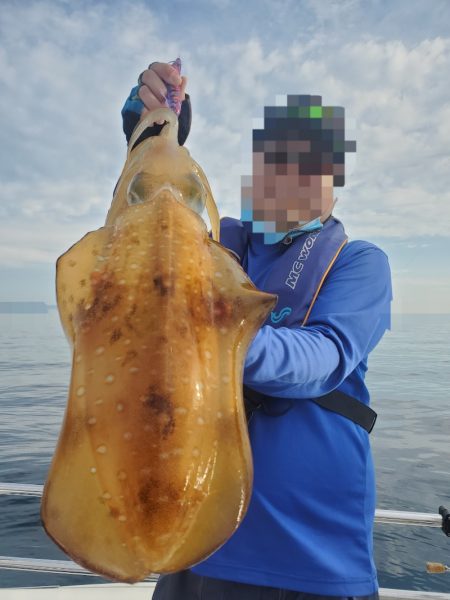 ソルトウォーターガイドフレンズ 釣果