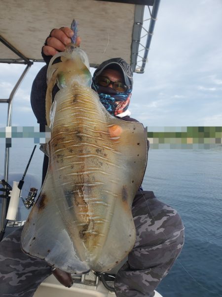 ソルトウォーターガイドフレンズ 釣果