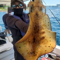 ソルトウォーターガイドフレンズ 釣果