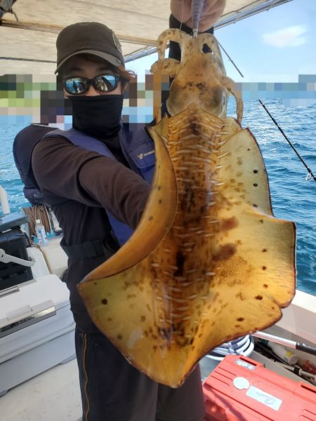 ソルトウォーターガイドフレンズ 釣果