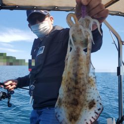 ソルトウォーターガイドフレンズ 釣果