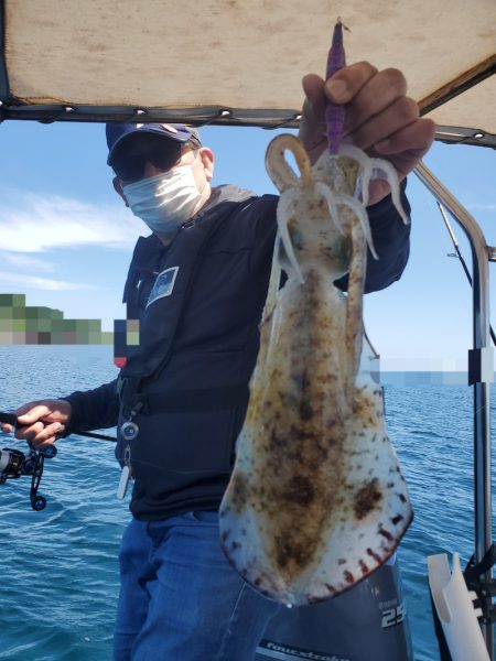 ソルトウォーターガイドフレンズ 釣果