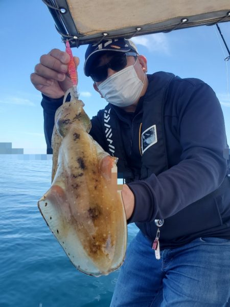 ソルトウォーターガイドフレンズ 釣果