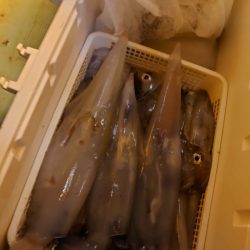 海龍丸（石川） 釣果