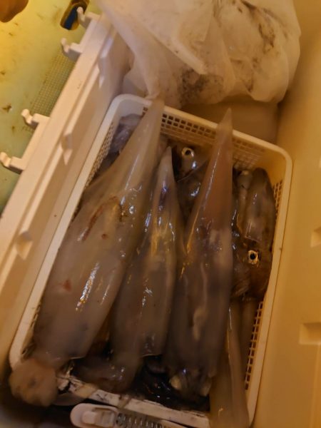 海龍丸（石川） 釣果