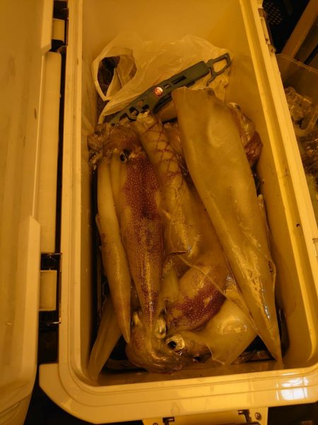 海龍丸（石川） 釣果