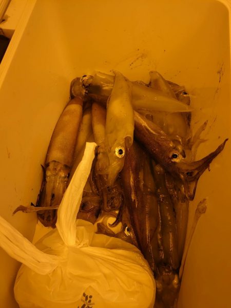 海龍丸（石川） 釣果