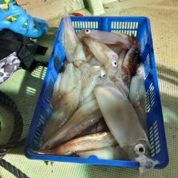 海龍丸（石川） 釣果