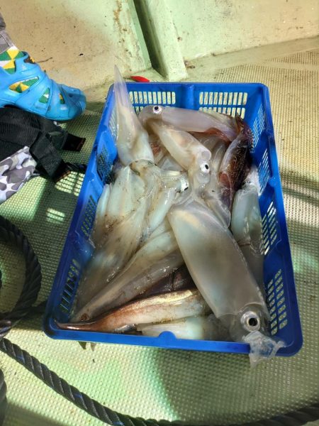 海龍丸（石川） 釣果