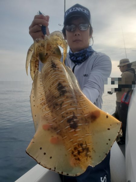 ソルトウォーターガイドフレンズ 釣果