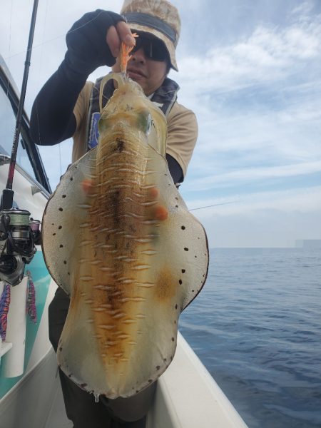 ソルトウォーターガイドフレンズ 釣果