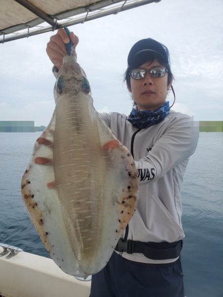 ソルトウォーターガイドフレンズ 釣果