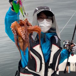 Ｖ−７ West 釣果