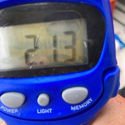 Ｖ−７ West 釣果